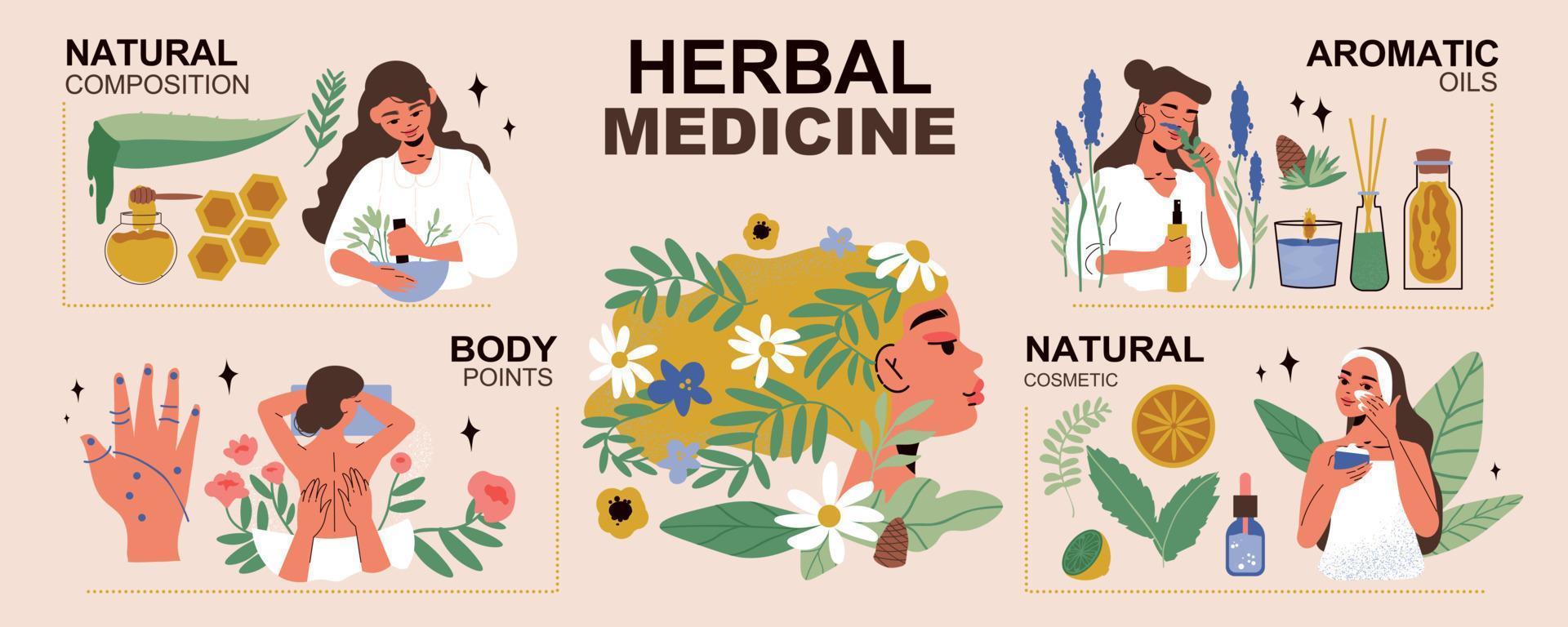 infografía de medicina herbal vector