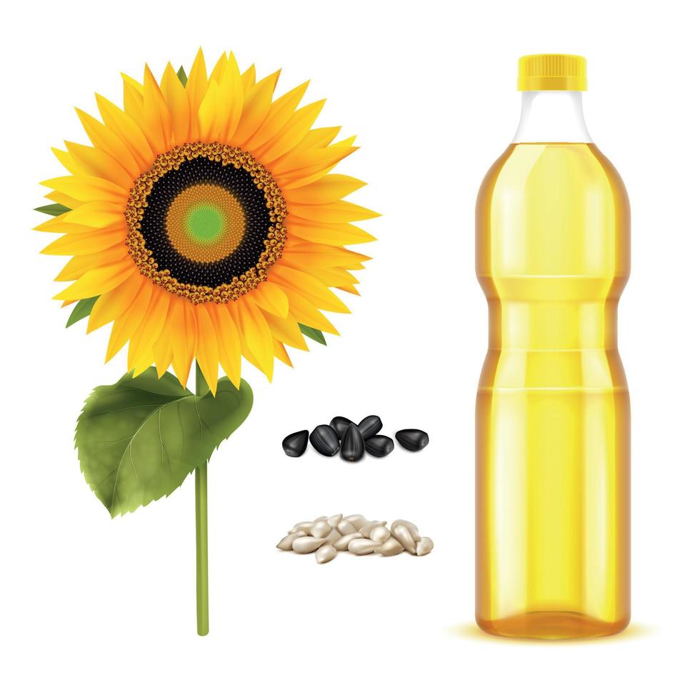 conjunto realista de aceite de girasol vector