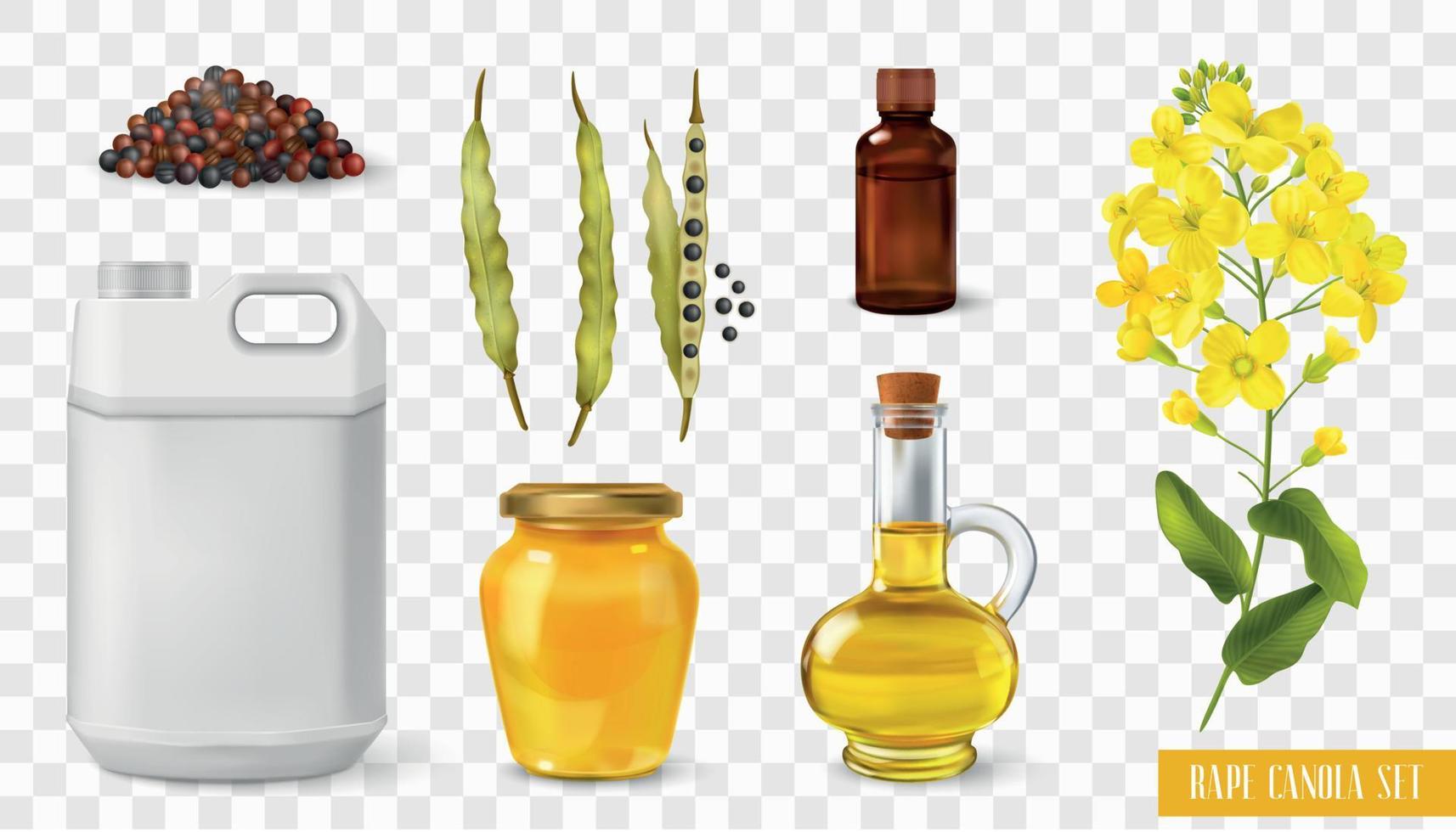 Rape Canola Transparent Set vector