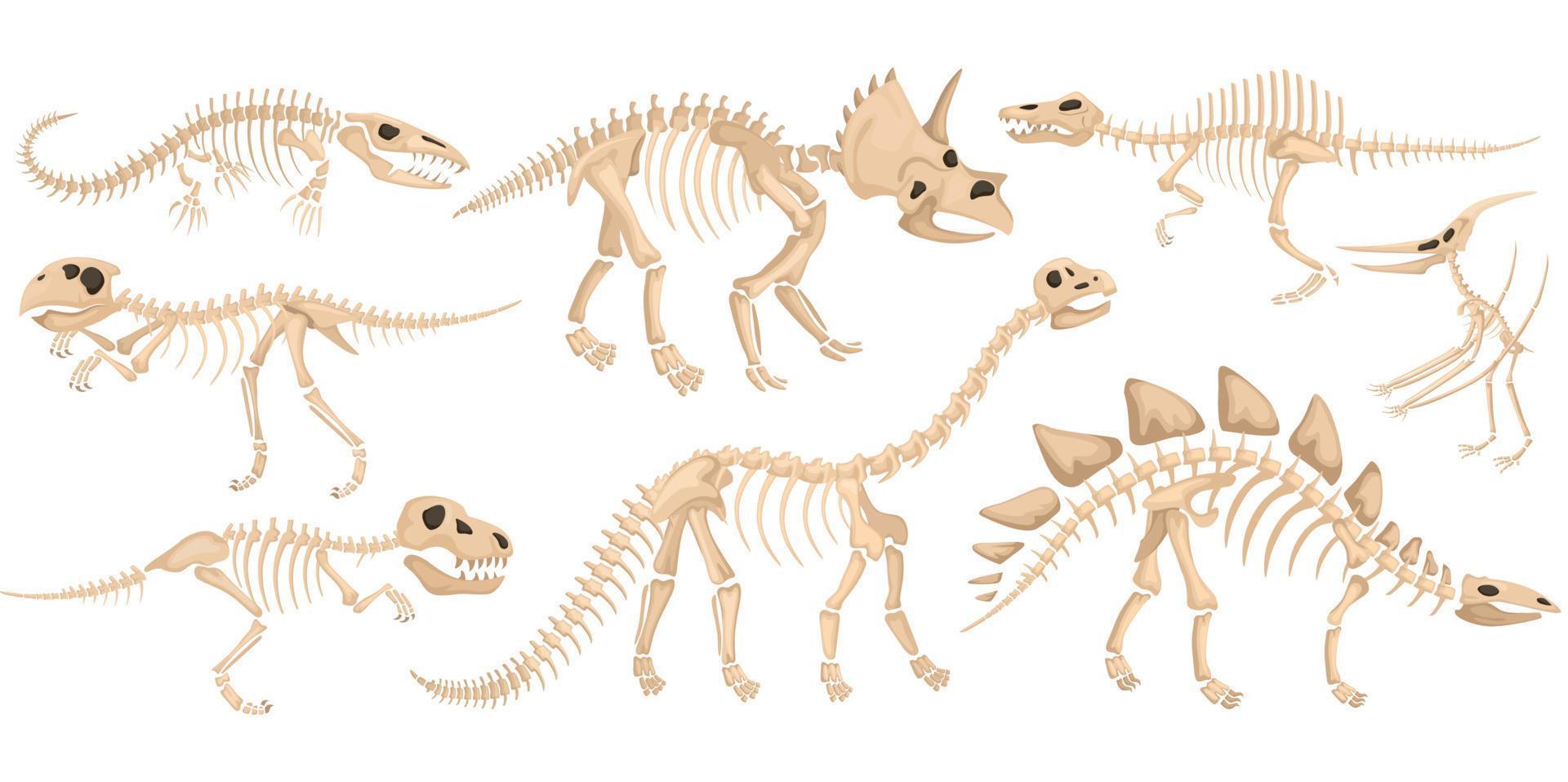 Dinosaur Skeleton Icon Set vector