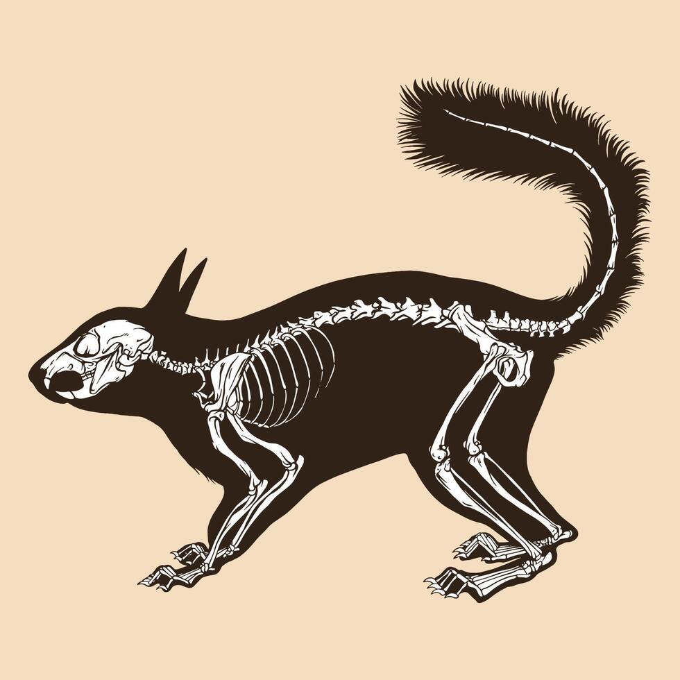 Skeleton squirrel vector illustration