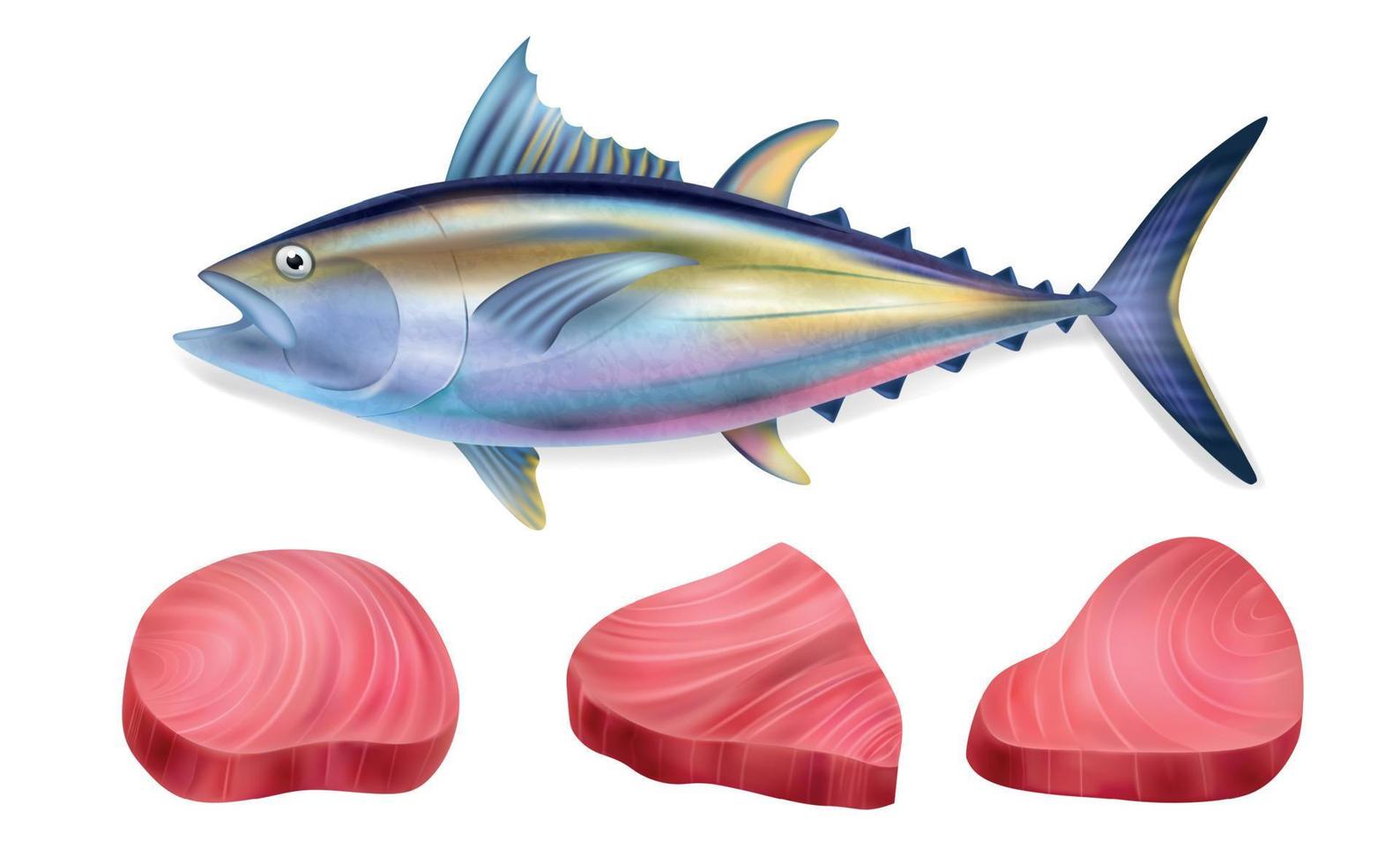 Realistic Tuna Fish Steak Icon Set vector