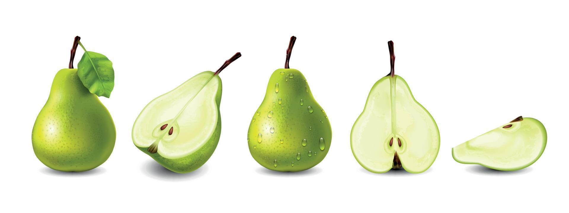 Realistic Pear Set vector