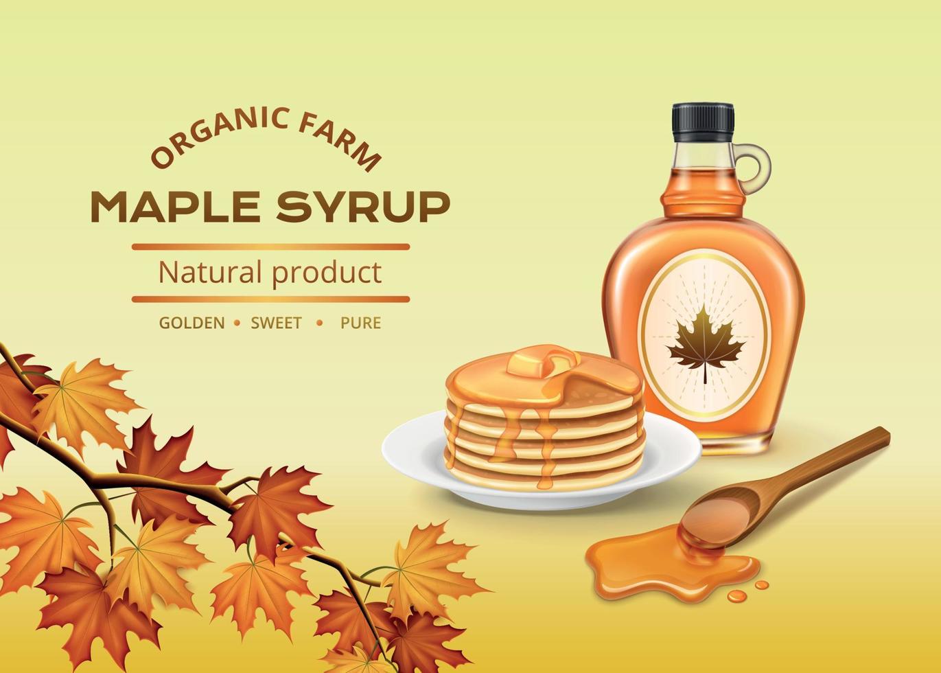 Maple Syrup Composition vector