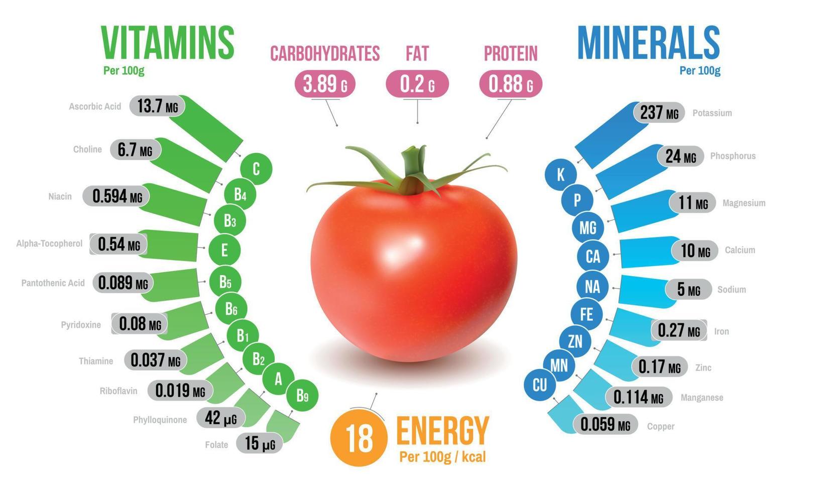 diagrama infográfico de nutrientes de tomate vector