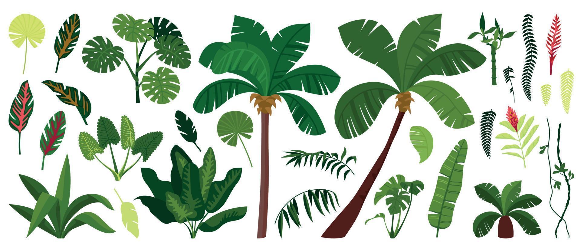 conjunto de iconos de plantas de la selva vector