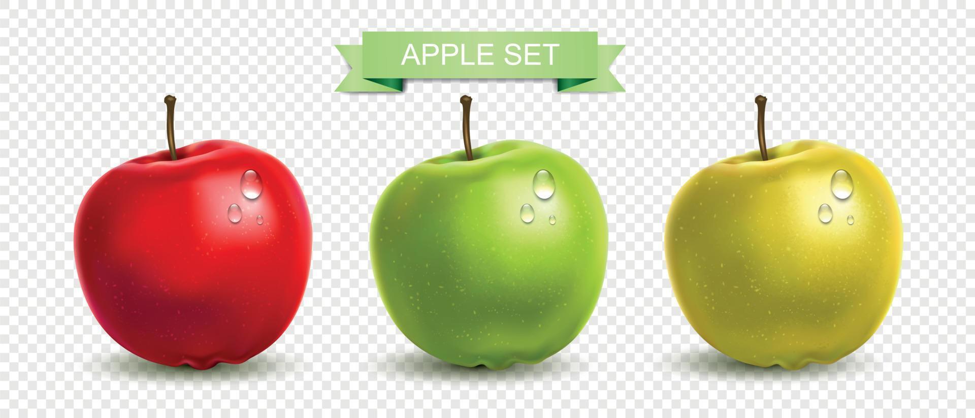 conjunto de manzanas realistas vector