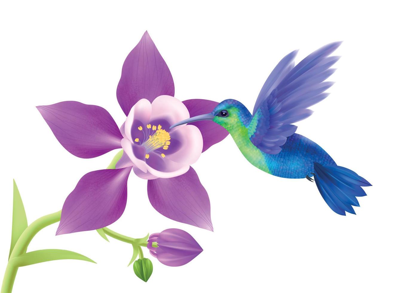 Hummingbird Realistic Concept vector