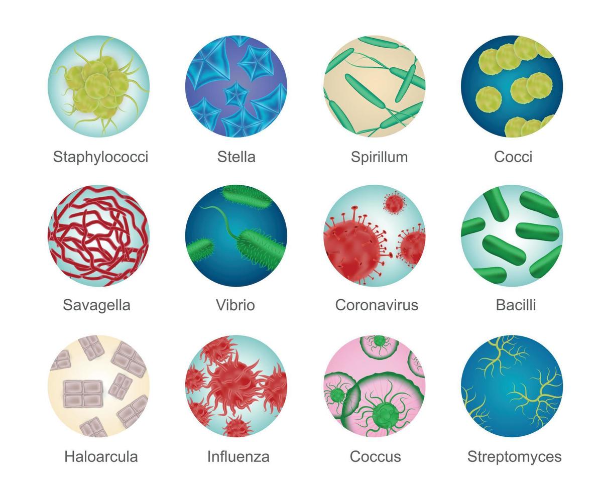 conjunto de iconos redondos de bacterias vector