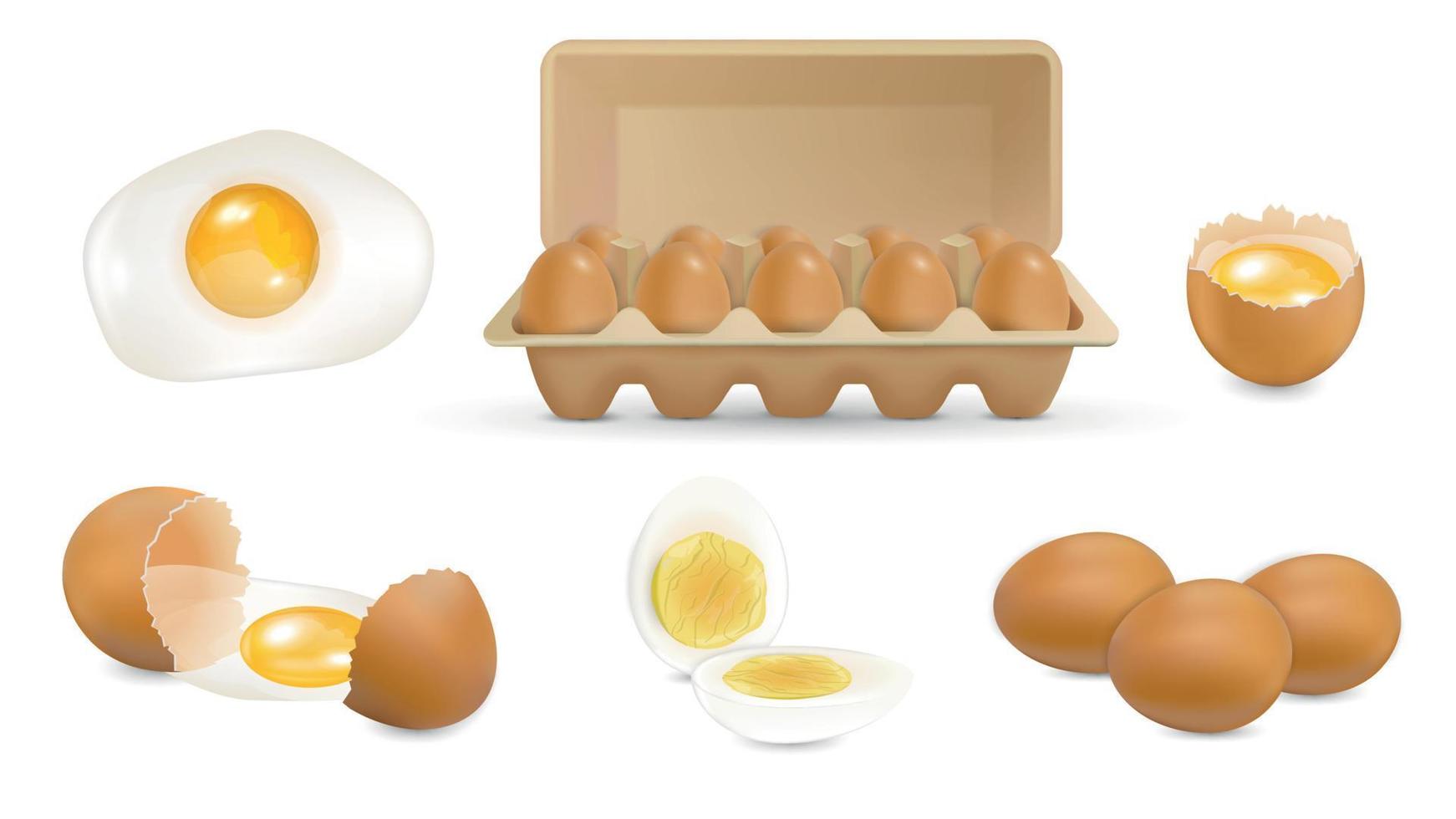 conjunto realista de huevos marrones vector