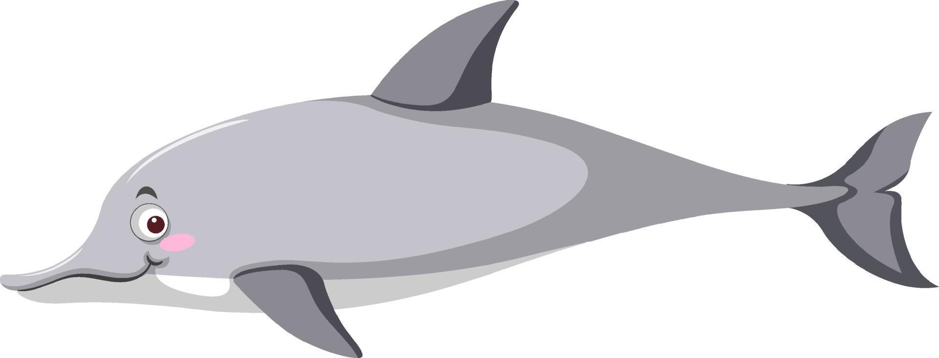 Grey dolphin in cartoon style vector