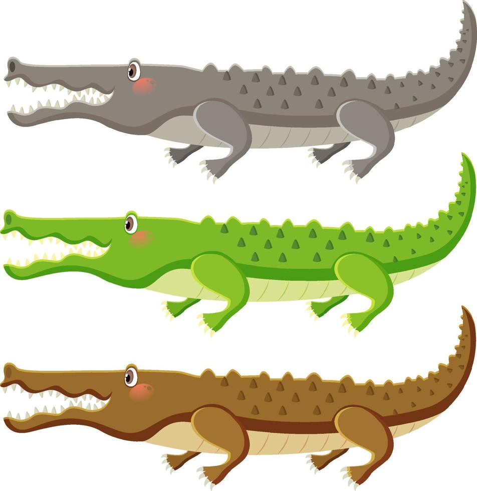Cute crocodile cartoon character isolated vector
