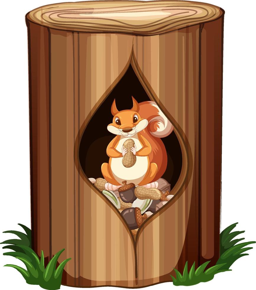Squirrel eating nuts in hollow vector