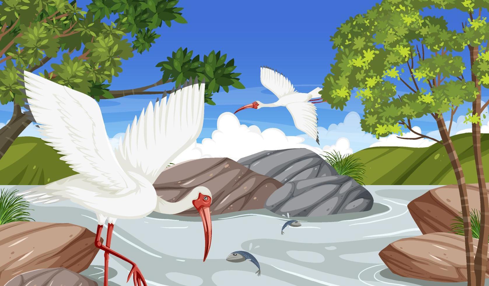 American white ibis in the forest vector