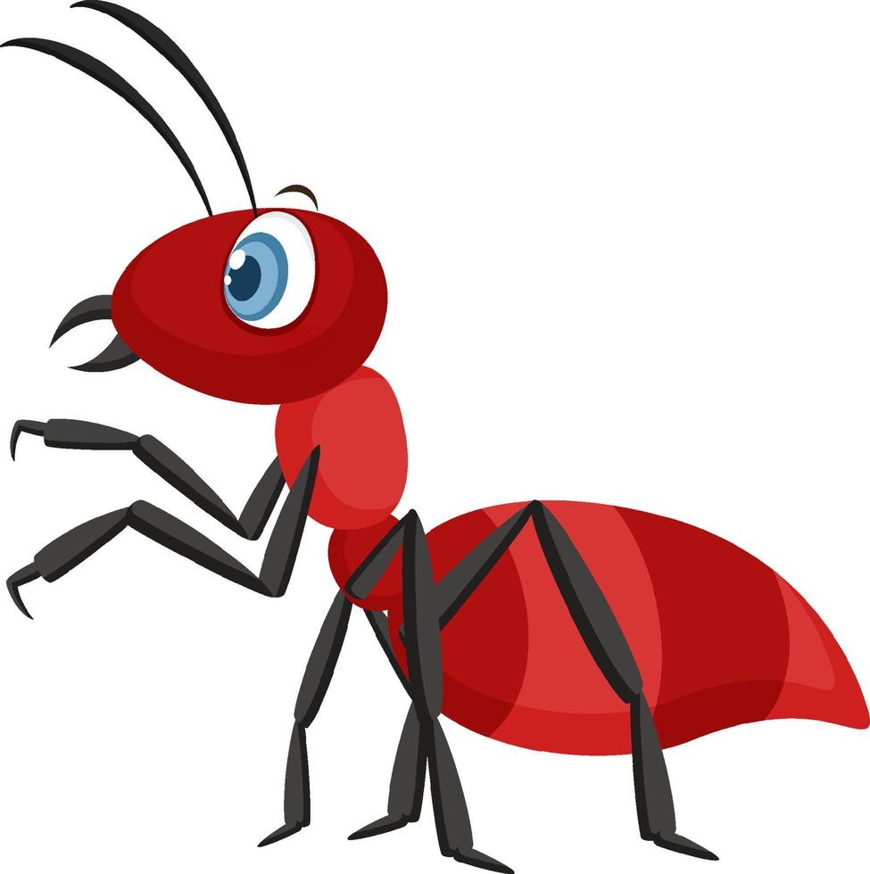 hormiga roja aislada sobre fondo blanco vector