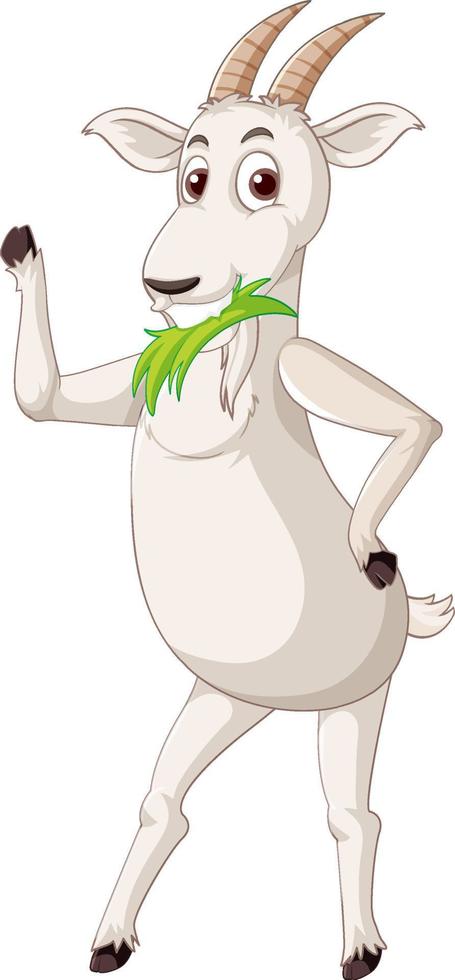 White goat standing on two legs vector
