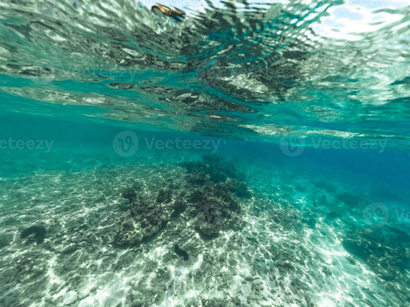 isla tropical palmera y bajo el agua foto