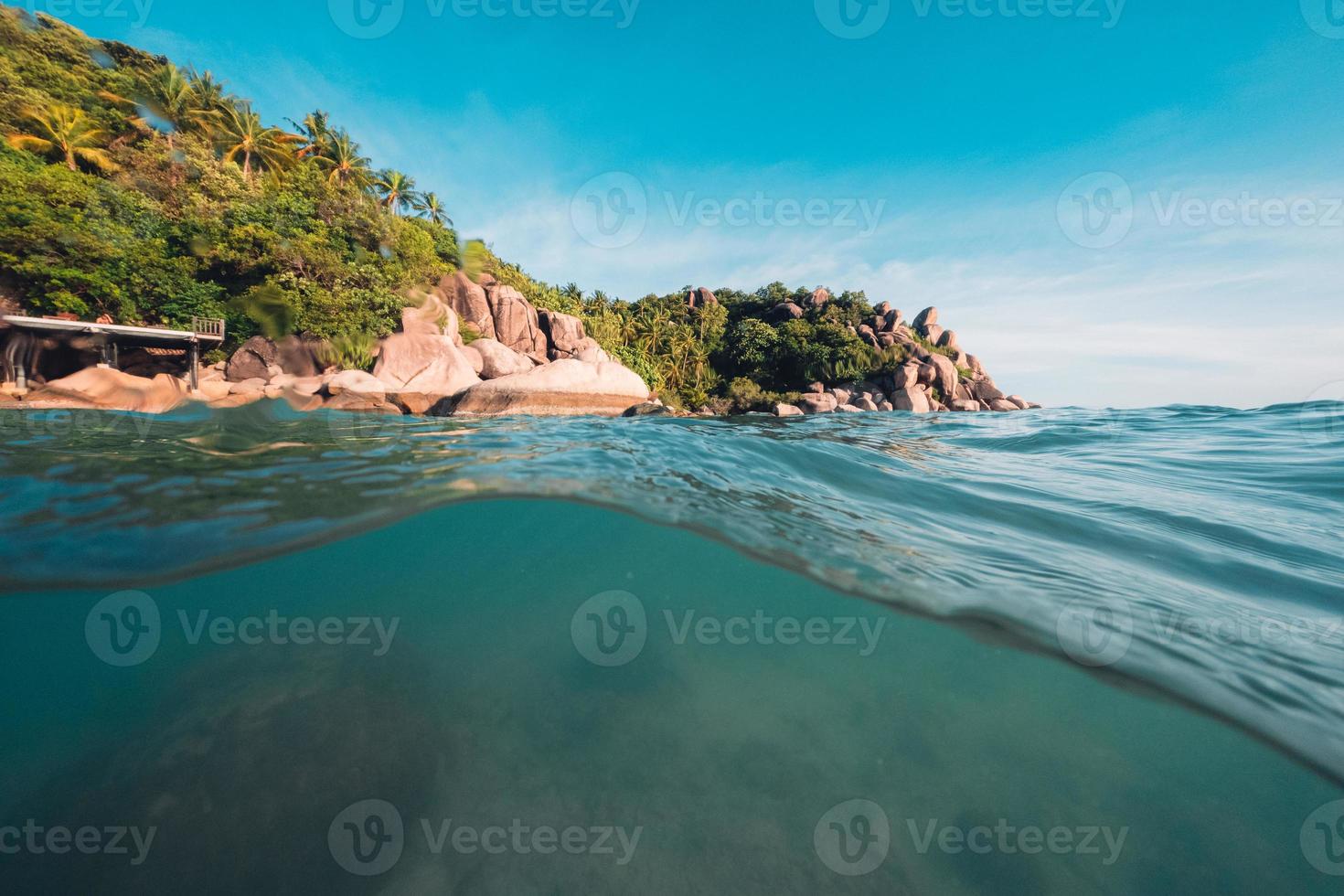 Tropical Island Palm and underwater photo