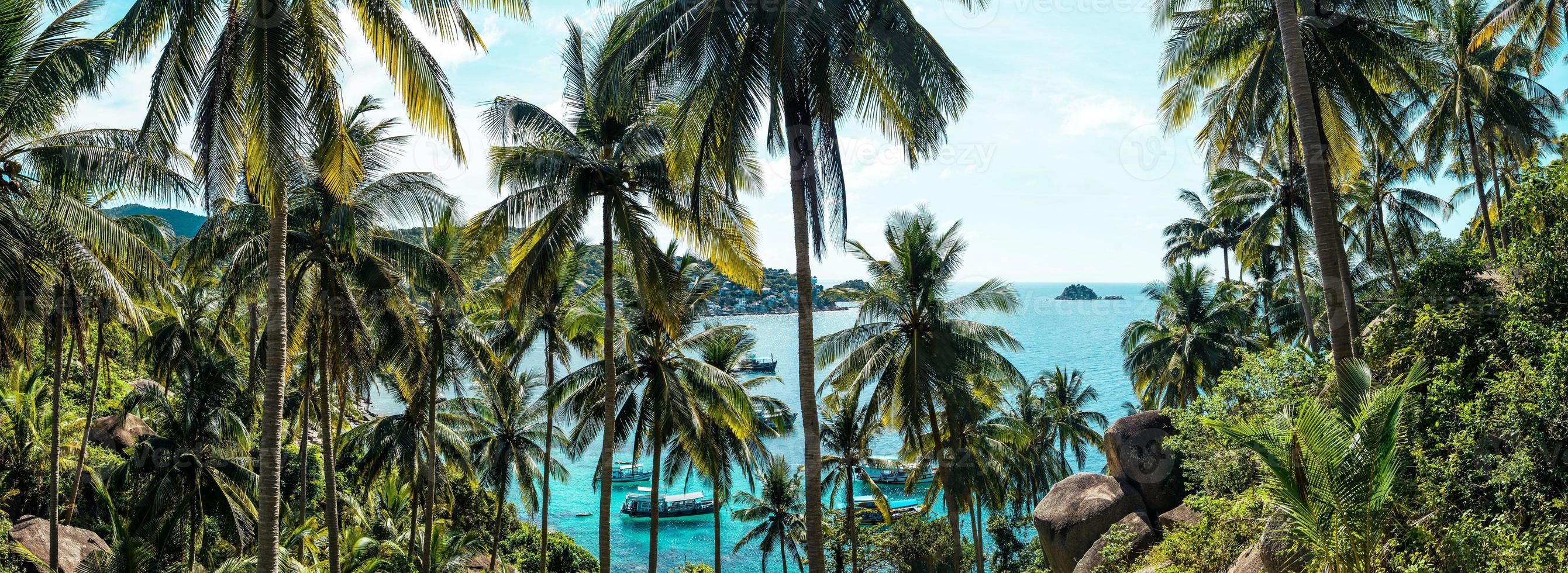 coconut trees on tropical island in summer photo