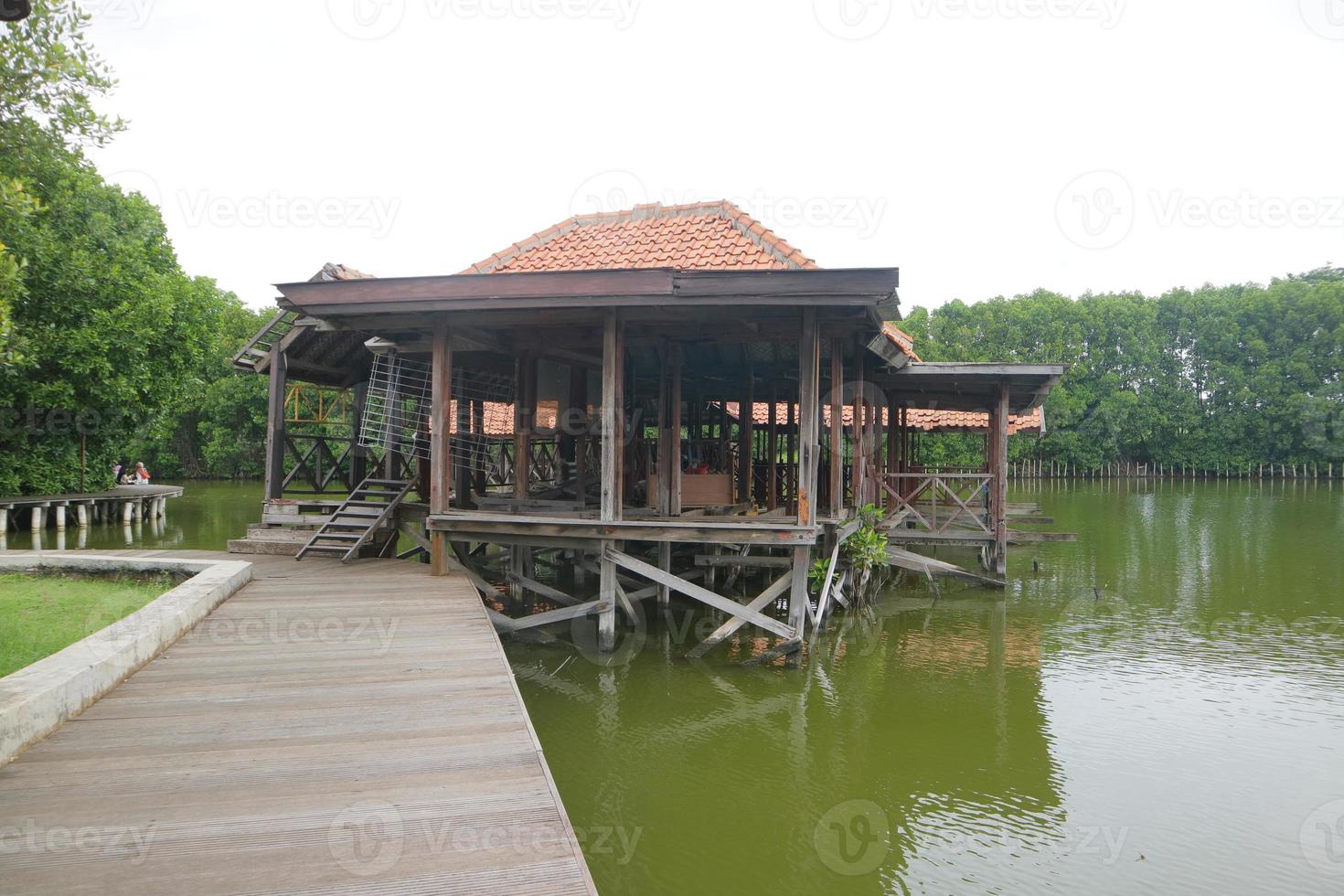 Broken wooden building on the edge of a swamp with green water photo