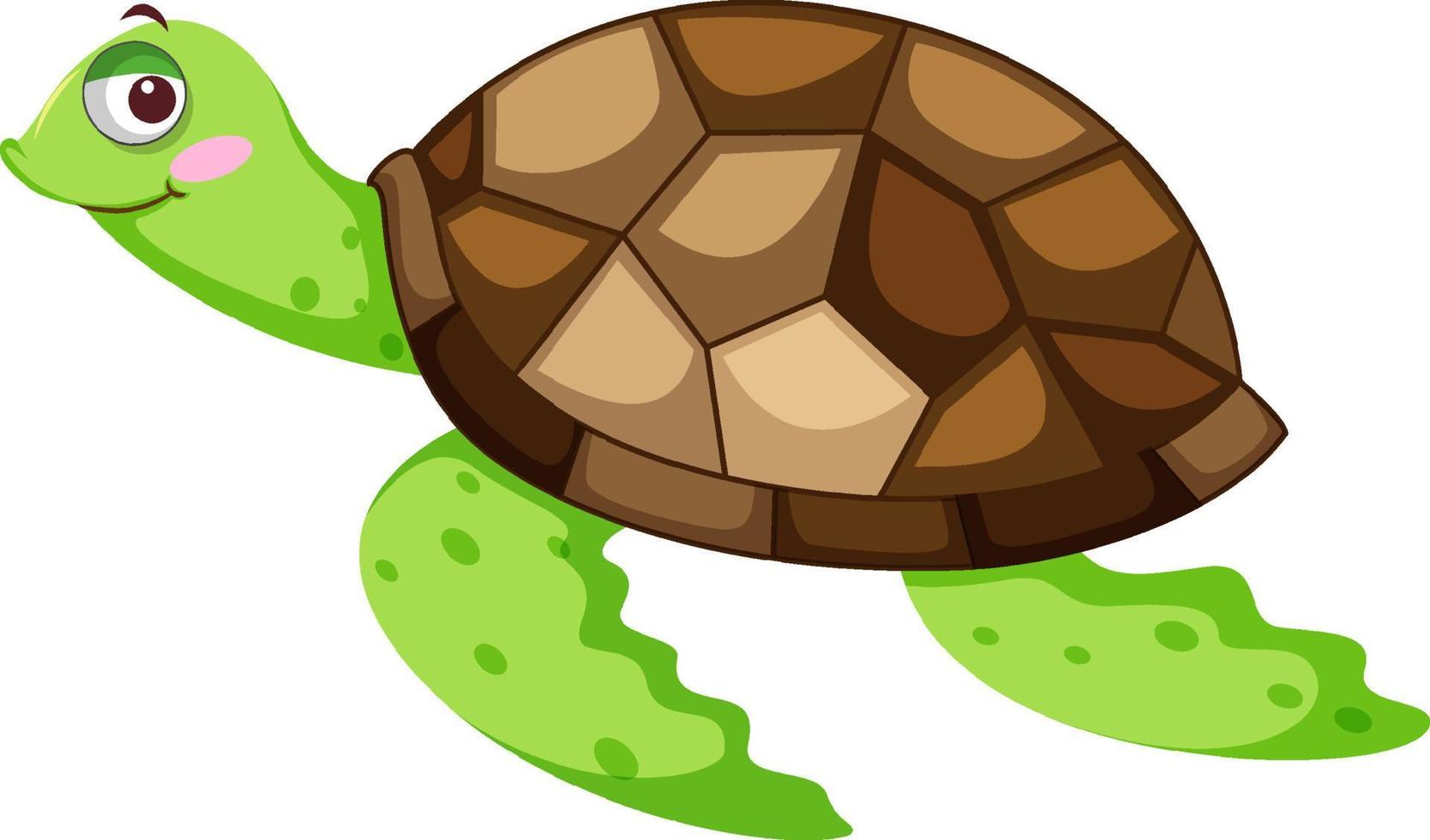 una tortuga en personaje de dibujos animados vector