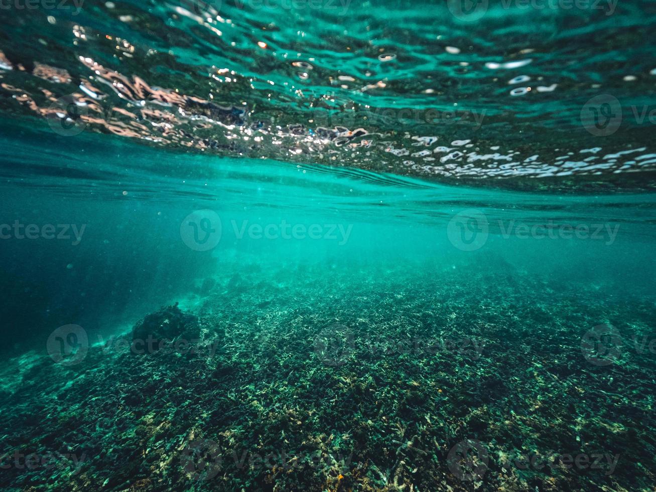 bajo el agua en la playa de la isla foto