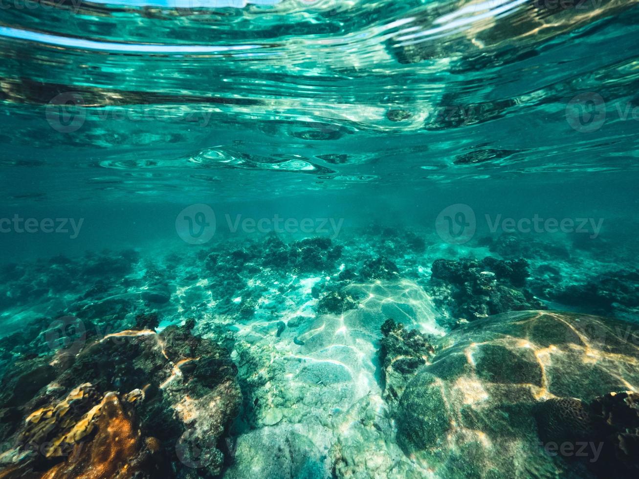 bajo el agua en la playa de la isla foto