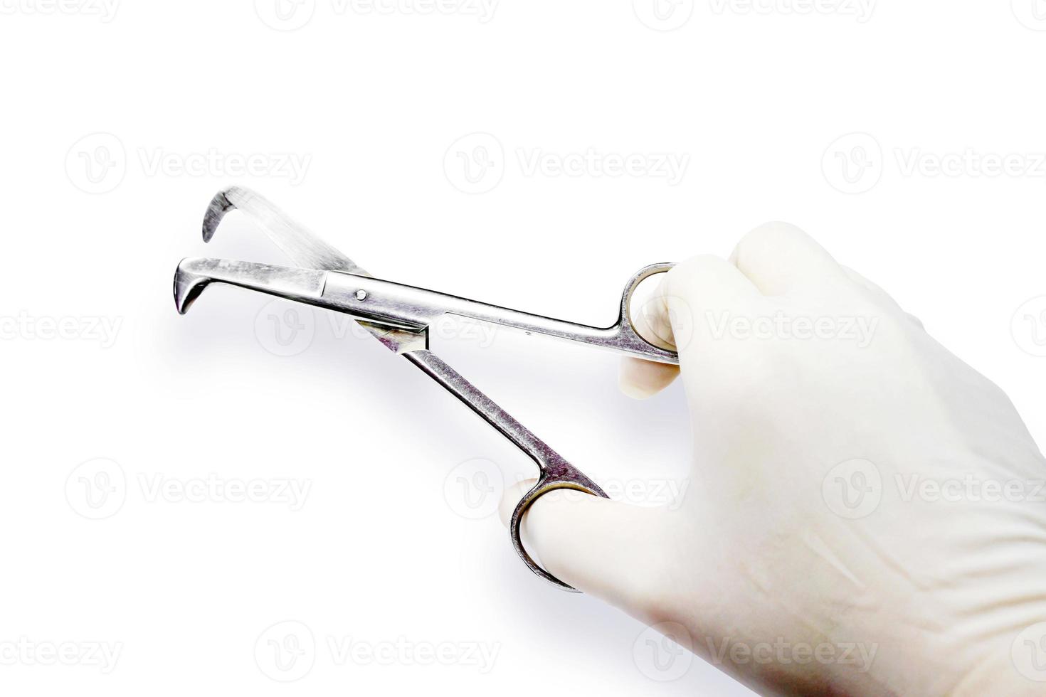 Doctor's hand in the medical latex glove holding Medical umbilical cord scissor isolate on white background and make with path. photo