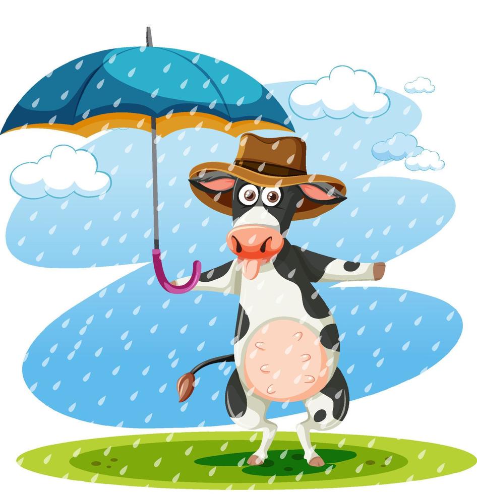 A cow holding umbrella in a rain vector