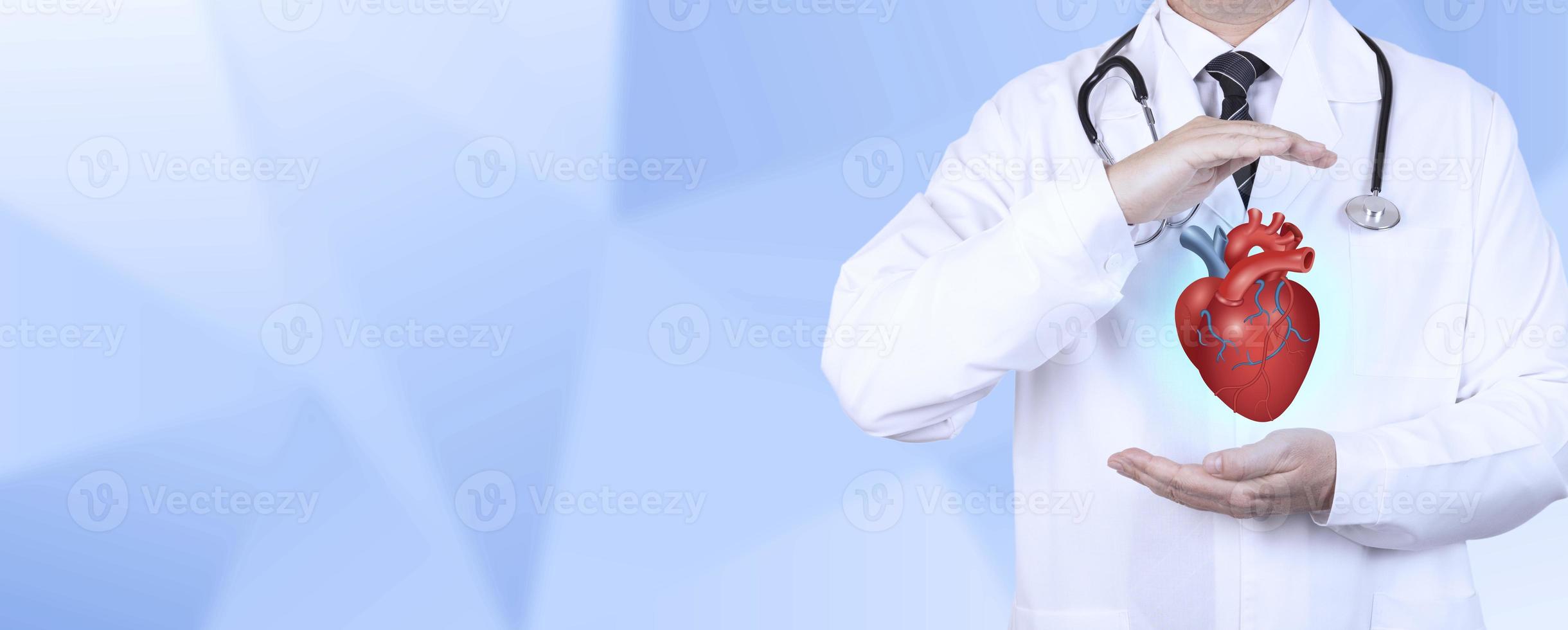 Cardiologist with stethoscope with hand protection symbol, supports realistic red heart as a symbol of cardiovascular disease prevention and treatment. Copy space. photo