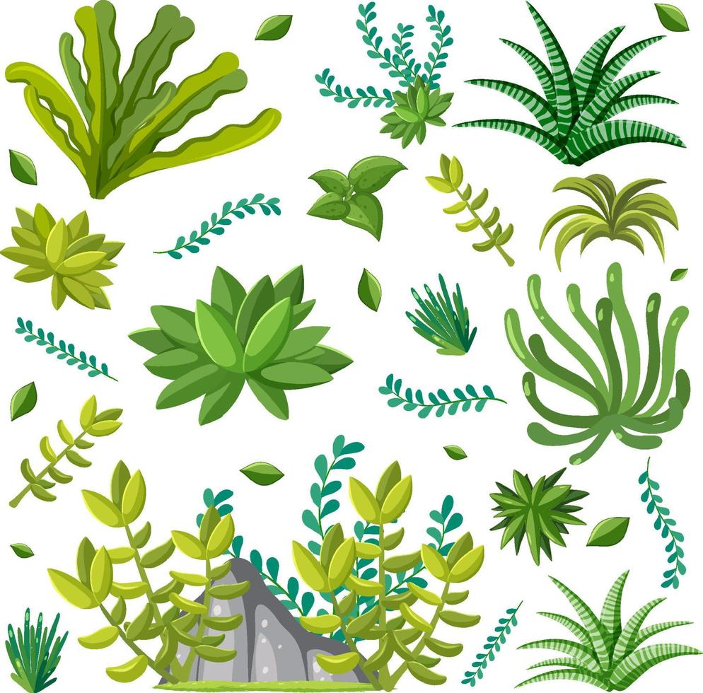 Various plants seamless pattern vector