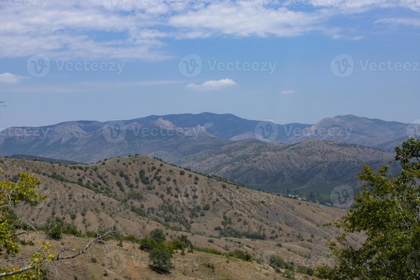 European mountain valley with rows of green vines in the vineyard. View from above. photo