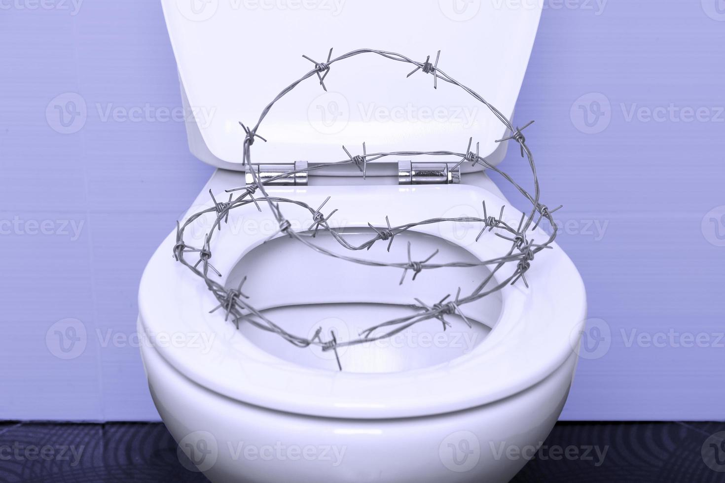 Barbed wire toilet seat deals