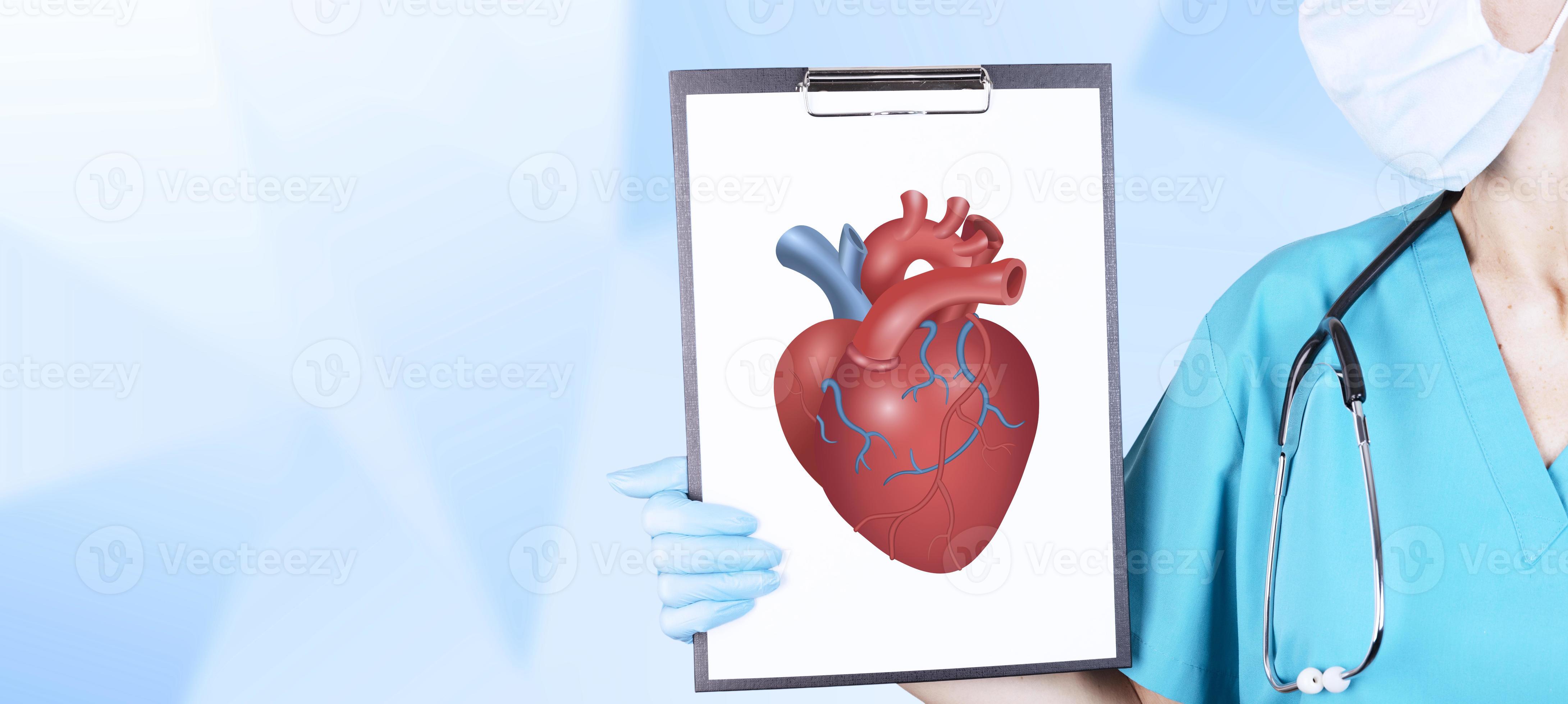 hierro Implementar Skalk la mano de un cardiólogo con ropa médica y un estetoscopio sostiene una  tableta con un corazón rojo, voluminoso y realista sobre un fondo claro.  concepto de cardiología. copie el espacio 8136469