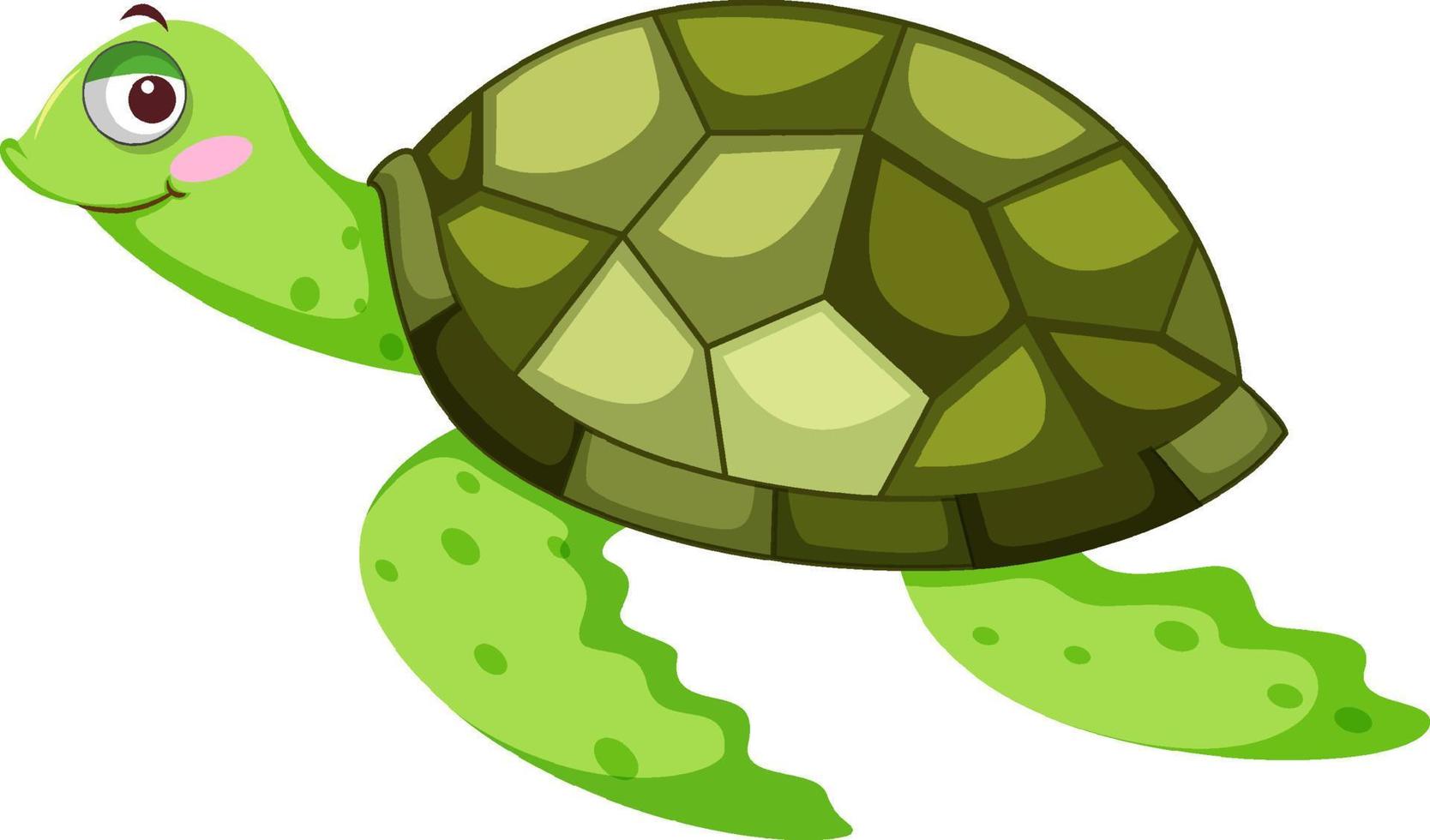 Cute turtle. Vector illustration. Outline drawing cartoon animal For kids  collection, design, decor, cards, print, coloring page. 17188852 Vector Art  at Vecteezy