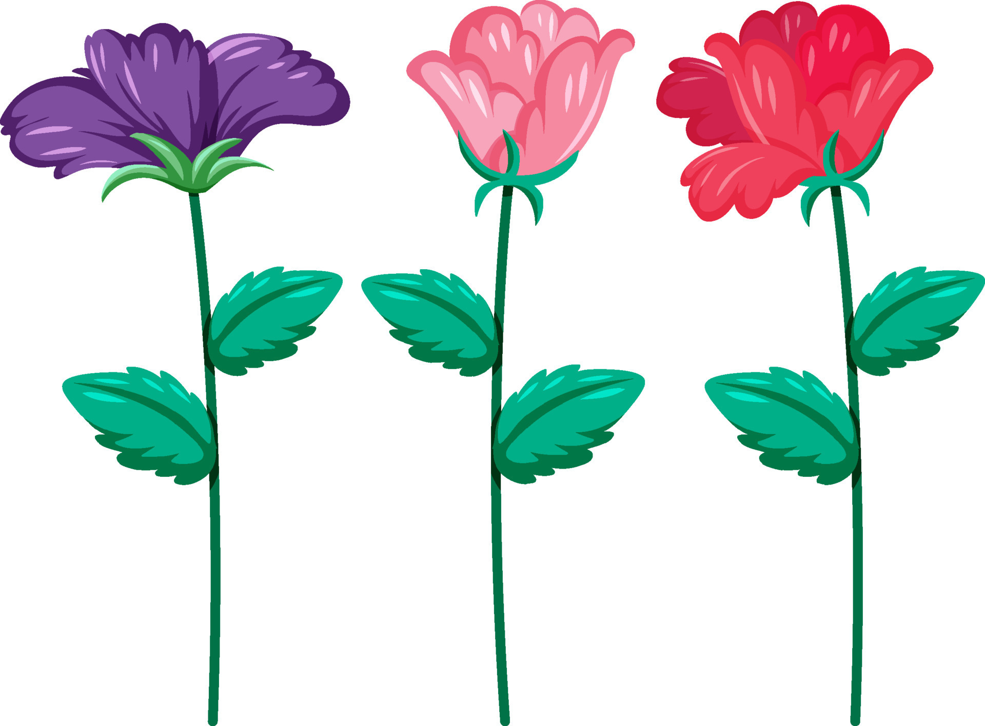 Three different colors flowers 8137165 Vector Art at Vecteezy