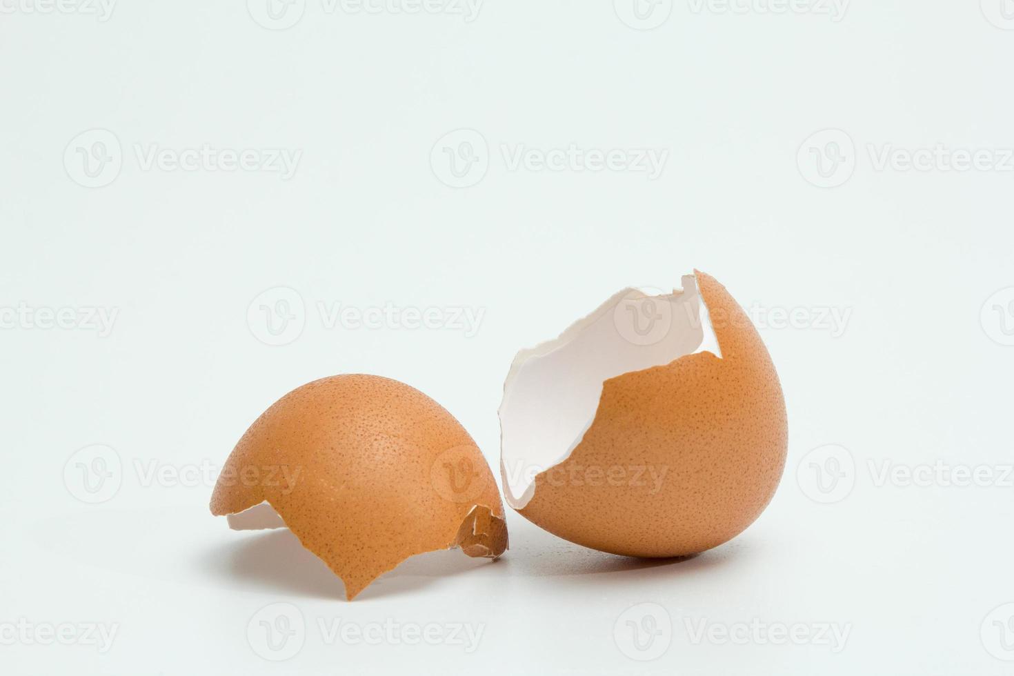 egg shell on white background photo