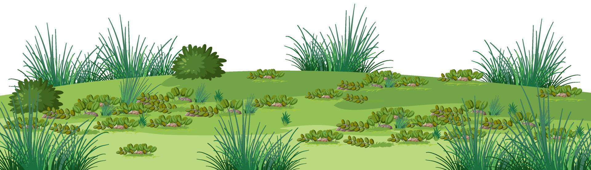 Isolated forest landscape on white background vector