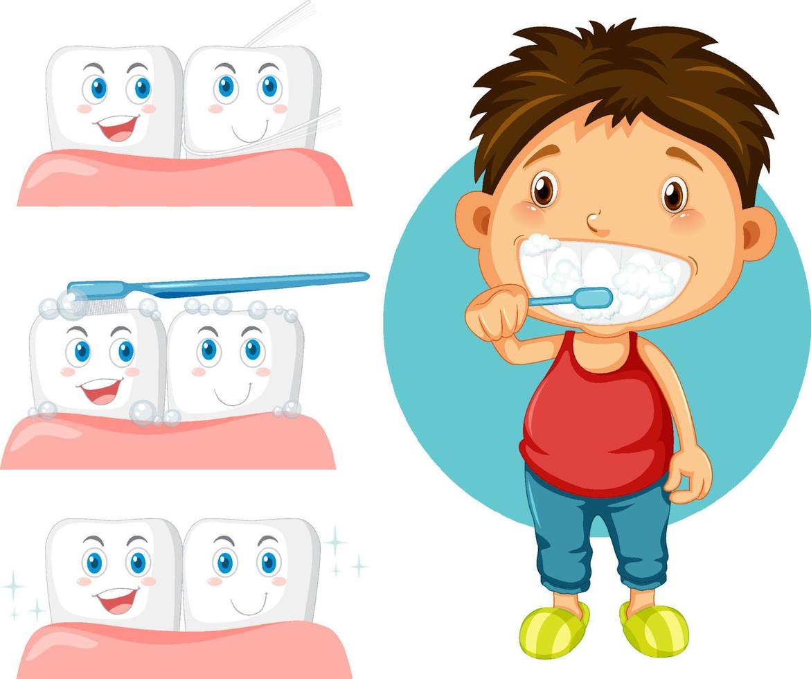 Boy brushing teeth with the teeth with gum vector