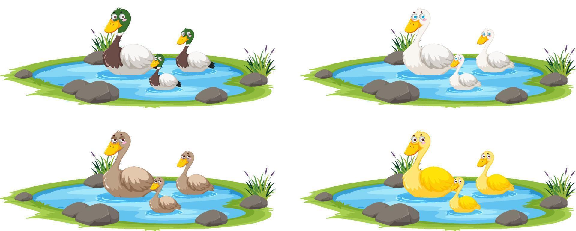 Duck in the pond on white background vector