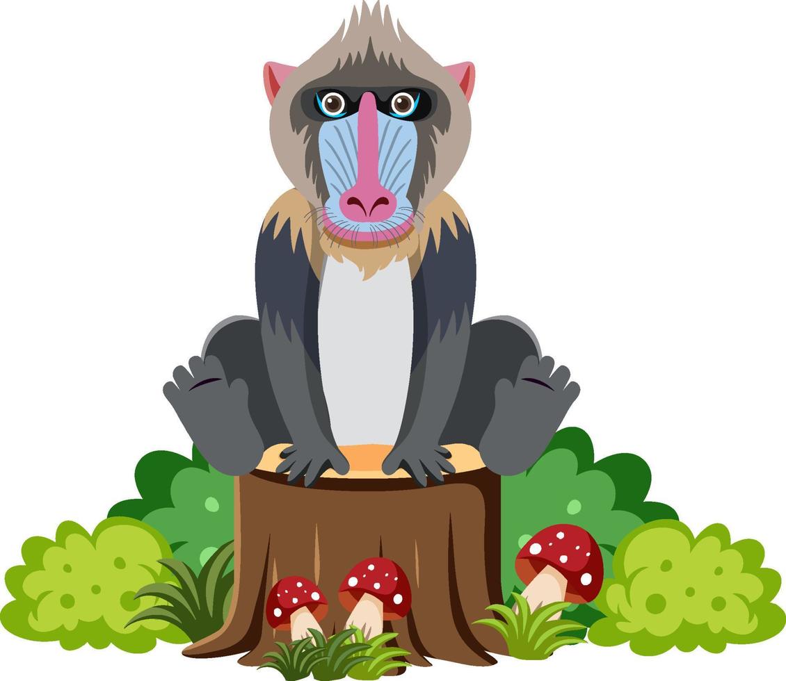 Cute mandrill in flat style vector