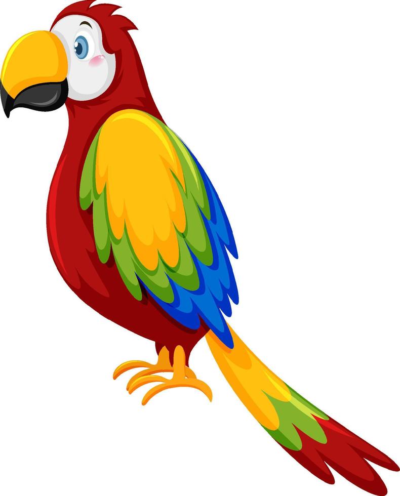 Parrot bird in cartoon style vector