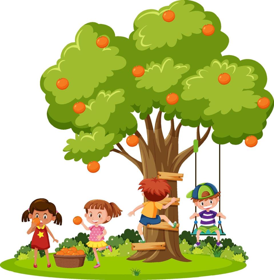 niños cosechando naranjas del árbol vector