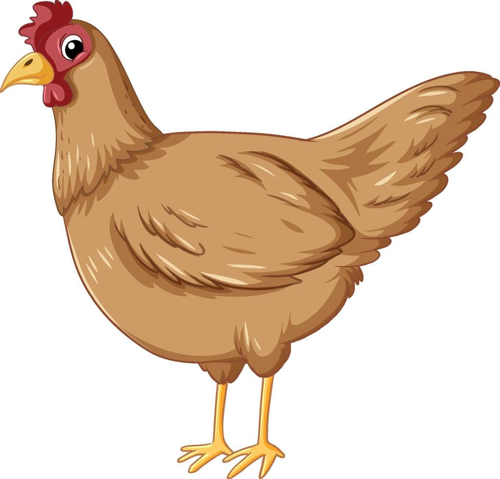 un pollo en estilo de dibujos animados vector