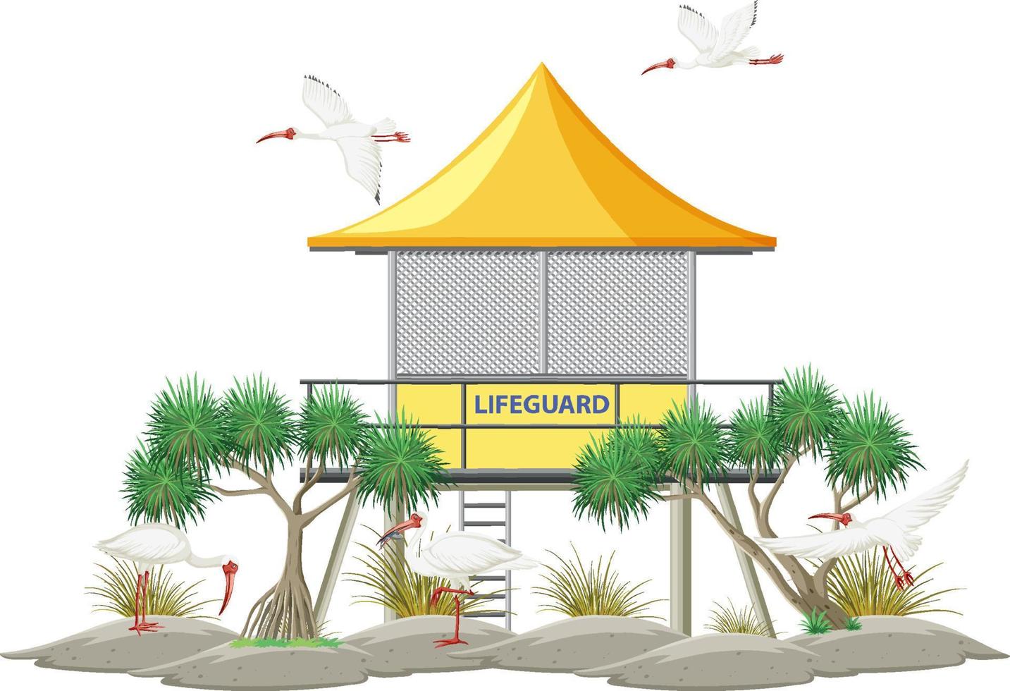 American white ibis group at lifeguard tower vector