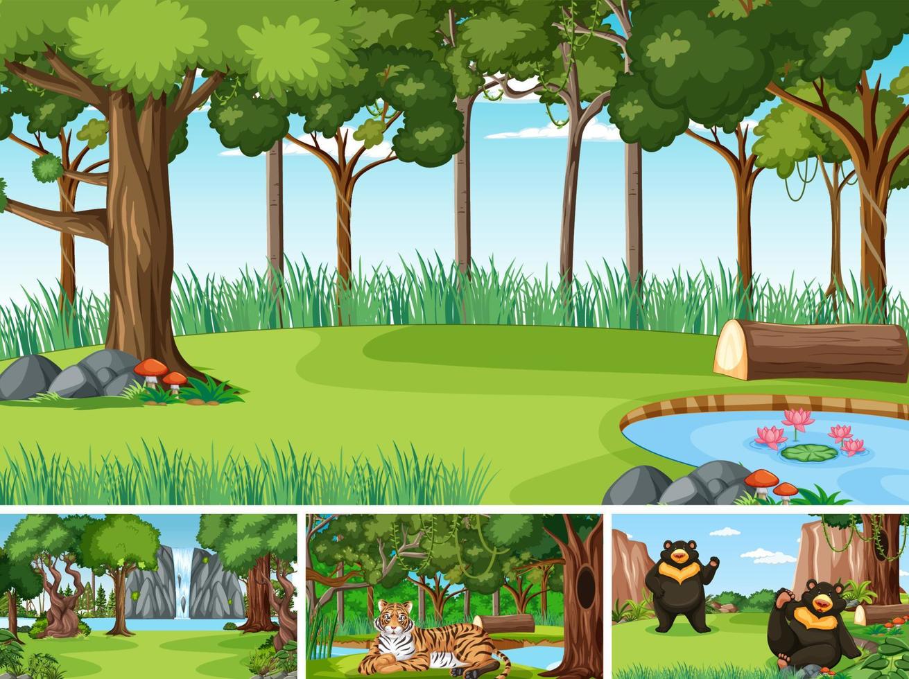 Different forest scenes with wild animals vector