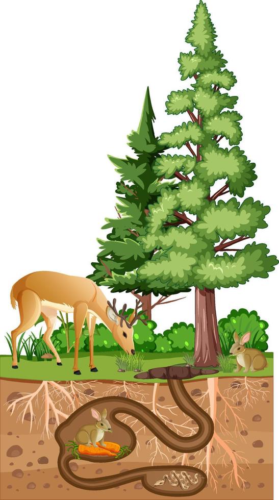 Underground animal hole in cartoon style vector