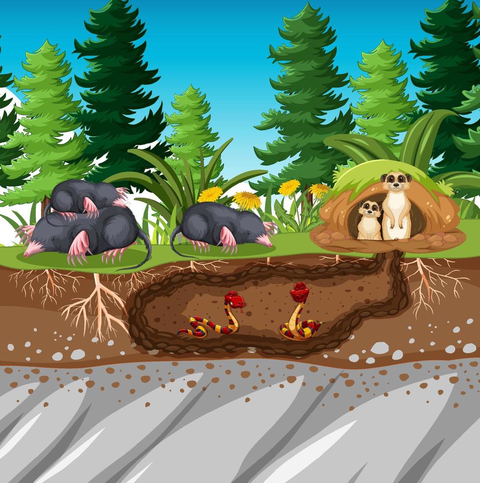 Underground animal hole in cartoon style vector