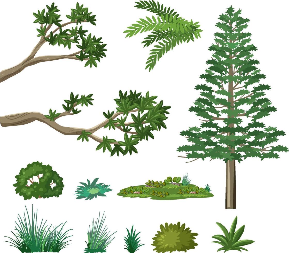 conjunto de elementos del bosque natural vector