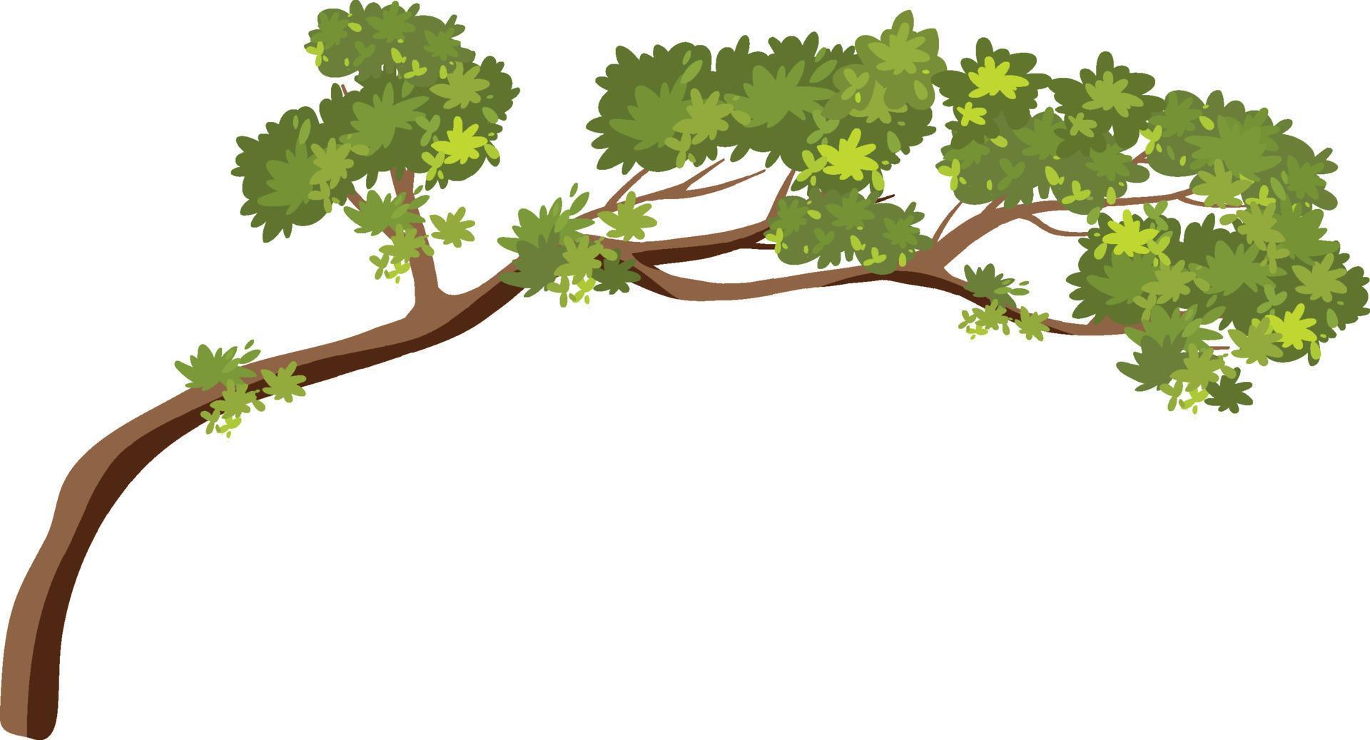 Isolated tree branch on white background 8138619 Vector Art at Vecteezy
